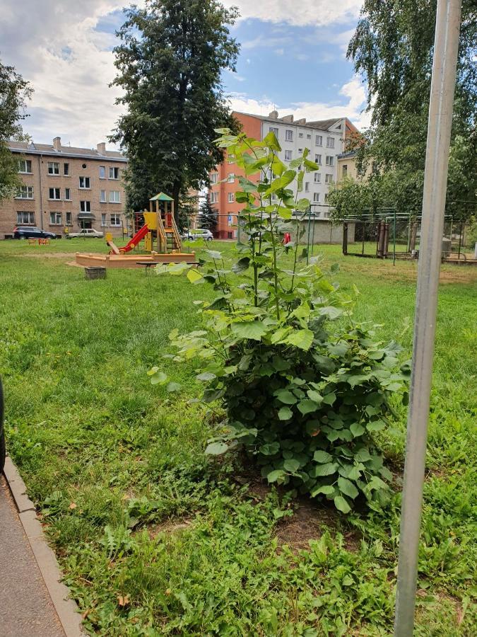 Apartament Erfolg 6 다우가프필스 외부 사진
